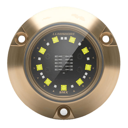 Lumishore ECLIPSE SMX24 Single Light Surface Mount Underwater Light - Blue [010-04501-00]