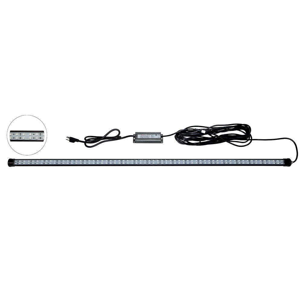 Hydro Glow 4 LED DockMaster 2000K Amber LED 120V DM260A